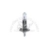 Bóng đèn xe nâng 12V-55W/ H1