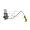 Bóng đèn xe nâng H3 48V-60W