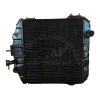 Két nước làm mát xe nâng Heli H2000 Series C240/ CPC10-18 H15C2-10201