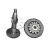 Bánh răng hộp số xe nâng Tailift FB15-35 30432
